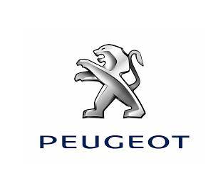 Peugeot Indenor opvoerpomp