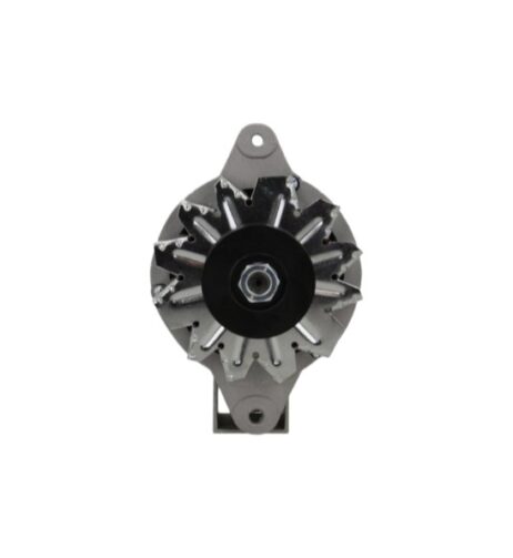 Alternator 12V 50A Vetus M4.14 W-connection included - Image 2