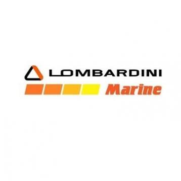 Lombardini Lichtmaschine