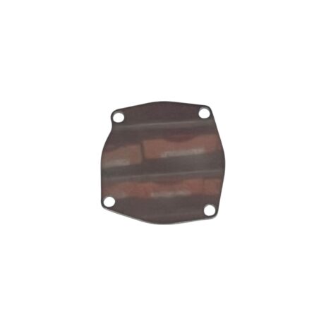 CD06909