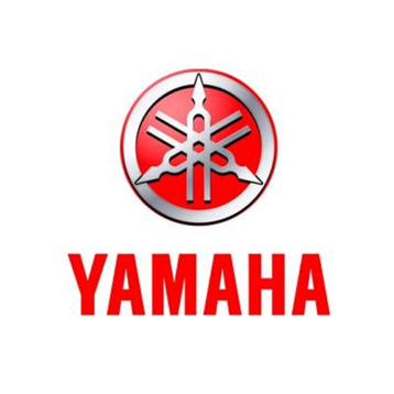 Separate Yamaha anodes
