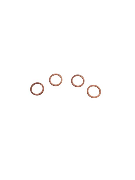 Bukh koperen ring 522C3084