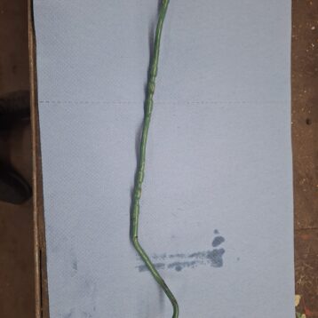 Volvo Penta 2003 return line 840484